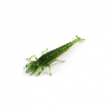Силикон рыболовный FishUP Diving Bug 2" 042 - Watermelon Seed (8шт/уп) (1862.00.16) (282120)