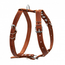Шлей для собак Collar одинарная для средних пород Ш 25 мм А:49-68 см В:68-80 см коричневая (06386) (310130)