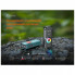 Фонарь Fenix E06R бірюзовий (E06R-TQ) (316830)