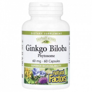 Витаминно-минеральный комплекс Natural Factors Гинкго Билоба, фитосомы, 60 мг, Ginkgo Biloba, Phytosome, 60 капсул (NFS-04805) (309150)