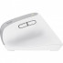 Мышка Trust Bayo+ Ergonomic Wireless/Bluetooth White (25399) (316850)