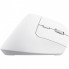 Мышка Trust Bayo+ Ergonomic Wireless/Bluetooth White (25399) (316850)