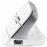 Мышка Trust Bayo+ Ergonomic Wireless/Bluetooth White (25399) (316850)