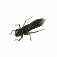 Силикон рыболовный FishUP Dragonfly 1.7" 043 - Watermelon Brown/Black (8шт/уп) (1864.04.93) (281960) Силикон рыболовный FishUP Dragonfly 1.7" 043 - Watermelon Brown/Black (8шт/уп) (1864.04.93) (281960)