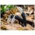 Нож Boker Magnum Veloc (01RY005) (279170)