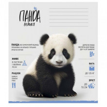 Тетрадь ученическая "Africa Animals" 012-3279K-4 в клетку, 12 листов