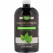 Травы Nature's Way Жидкий Хлорофилл, Liquid Chlorophyll, (мятный вкус), 473 мл (NWY03501) (305401)