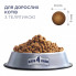 Сухой корм для кошек Club 4 Paws Премиум. С телятиной 300 г (4820083909184) (202341)