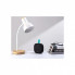 Акустическая система Canyon HEXAGON 10 Black/Green (CNE-CBTSP10BG) (317861)