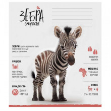 Тетрадь ученическая "Africa Animals" 012-3279K-5 в клетку, 12 листов
