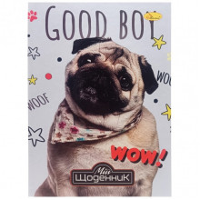 Дневник ученический "Good Boy wow!" АП-0101-9