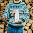 Термос Esbit ISO500ML stainless steel (017.0028) (343362)