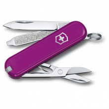 Нож Victorinox Classic SD Colors Tasty Grape (0.6223.52G) (276013)