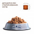 Сухой корм для кошек Club 4 Paws Премиум Sterilised с курицей 900 г (4820269144811) (343813)