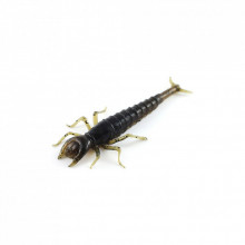 Силикон рыболовный FishUP Diving Bug 2" 043 - Watermelon Brown/Black (8шт/уп) (1862.00.17) (282123)