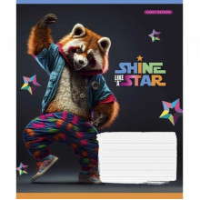 Тетрадь ученическая "Dance star" 018-3276L-3 в линию, 18 листов