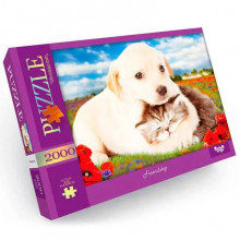 Пазл "Friendship" Danko Toys C2000-01-09, 2000 эл.
