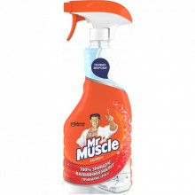 Спрей для чистки ванн Mr Muscle Эксперт Устранитель налета 500 мл (4823002001099) (197583)