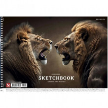 Альбом для рисования PB-SC-030-8008-1 спираль 30 листов