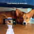 Набор блогера AirOn 360 ° AirFace for TikTok, Instagram, Facebook, Zoom, white (6126755803218) (263504)