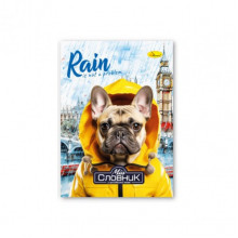 Тетрадь-словарь по английскому языку "Rain is not a problem" АП-0501-7