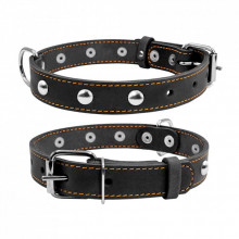 Ошейник для животных Collar одинарный с украшениями Ш 25 мм Д 38-50 см черный (02231) (312624) Ошейник для животных Collar одинарный с украшениями Ш 25 мм Д 38-50 см черный (02231) (312624)