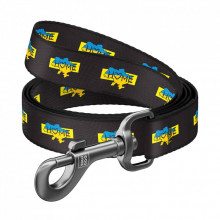 Поводок для собак WAUDOG Nylon "Дом" L-XXL 25 мм х 122 см (342-0230) (312234)