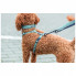 Шлей для собак Trixie CityStyle H-harness Хлопок L–XL 75–120 см 25 мм Светло-зеленая (4053032682672) (310564)