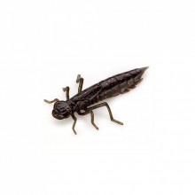 Силикон рыболовный FishUP Dragonfly 1.7" 050 - Green Pumpkin Brown/Red&Purple (8шт/уп) (1864.04.95) (281964)