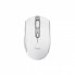 Мышка Trust Ozza compact Bluetooth/Wireless/USB-A White (24933) (316305)