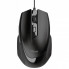 Мышка Trust Voca USB Black (23650) (234725)