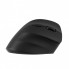 Мышка 2E MF325 Silent Wireless/Bluetooth Black (2E-MF325WBK) (261306)