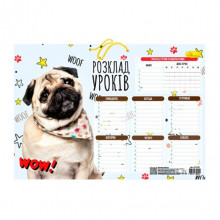 Ламинированное расписание уроков АП-0802 формат А3