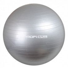 Мяч для фитнеса Profi M 0275-1 55 см (Серый)