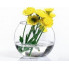 Ваза Flora Акваріум 100мл 1шт (184207)