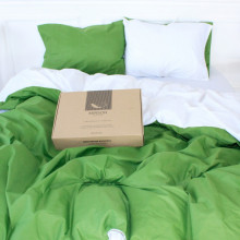Постельное белье MirSon Ranforce Elite Green Diego (11-2107 + 18-0130) 143х210 (2200004667744) (324407)