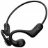 Наушники QCY Crossky Link T22 Midnight Black (1033268) (200807)