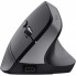 Мышка Trust Bayo+ Ergonomic Wireless/Bluetooth Black (25146) (258317)