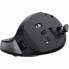 Мышка Trust Bayo+ Ergonomic Wireless/Bluetooth Black (25146) (258317)