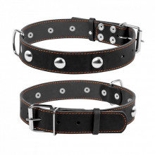 Ошейник для животных Collar одинарный с украшениями Ш 35 мм Д 48-63 см черный (02711) (312627)