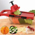 Овощерезка с резервуаром и насадками Mandoline Slicer 6в1 измельчитель для овощей и фруктов (345357)