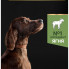 Сухой корм для собак Purina Pro Plan Large Athletic Adult 2+ Sensitive Digestion Для больших пород С ягненком 14 кг (7613035415591) (323697)