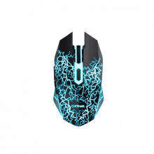 Мышка Trust Basics Wireless Black (24750) (233708)