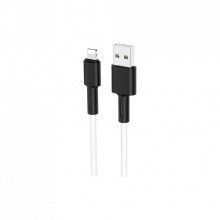 Дата кабель USB 2.0 AM to Lightning 1.0m 2.4A silicone BX31 white BOROFONE (6931474710369) (322818)