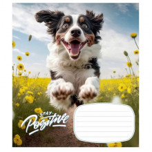 Тетрадь ученическая "Stay Positive" 012-3320C-2 в косую линию, 12 листов