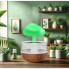 Увлажнитель воздуха – ночник Грибок с эффектом дождя, MUSHROOM Cloud Rain Humidifier (213438)