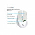 Мышка OfficePro M520W Wireless/Bluetooth White (M520W) (342148)