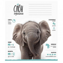 Тетрадь ученическая "Africa Animals" 012-3279K-2 в клетку, 12 листов