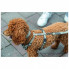 Шлей для собак Trixie CityStyle H-harness Хлопок L–XL 75–120 см 25 мм Светло-серая (4053032682689) (310568)
