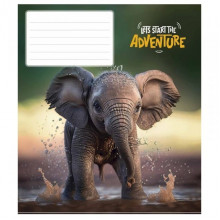 Тетрадь ученическая "Adventure" 012-3291K-2 в клетку, 12 листов